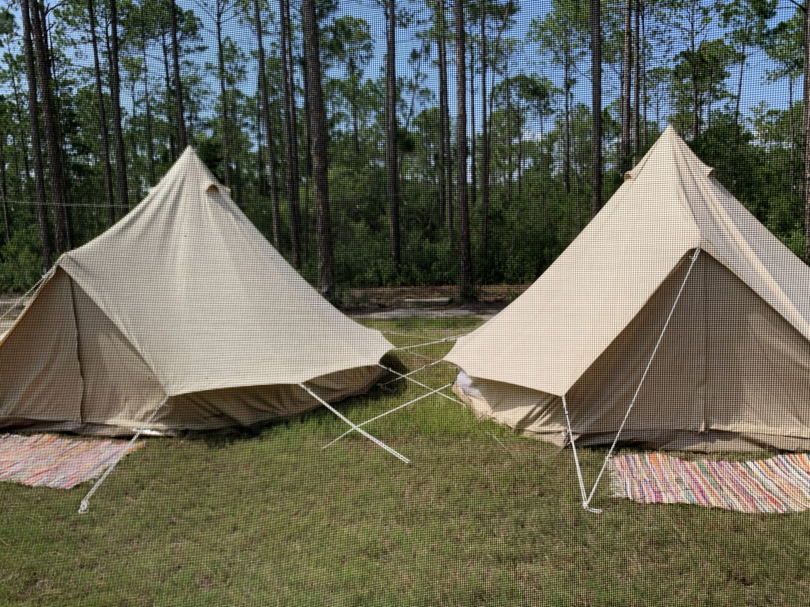 Glamping bell tents among the pines at Point Preserve