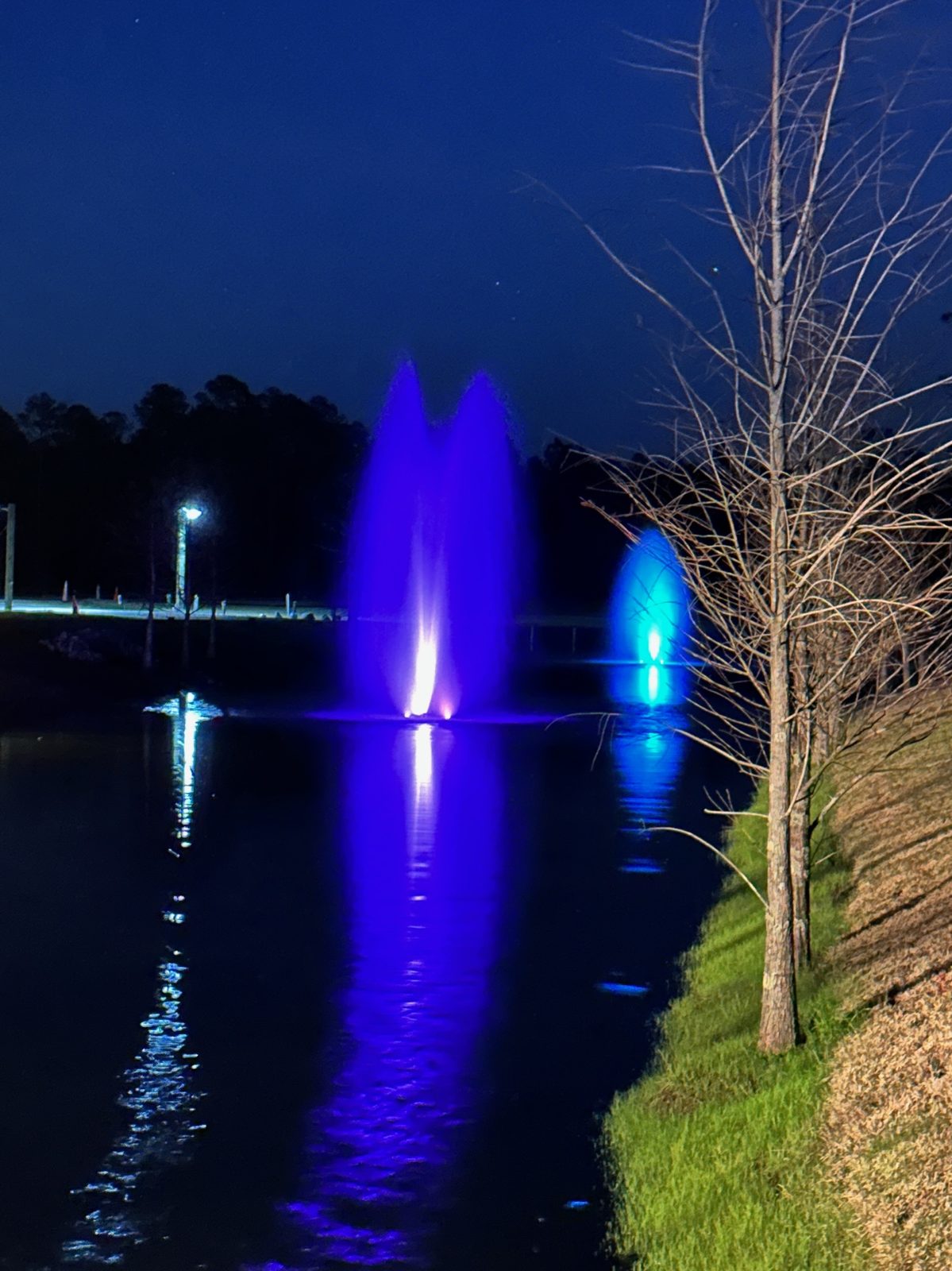 Water fountain illuminated in blue and violet against the night sky