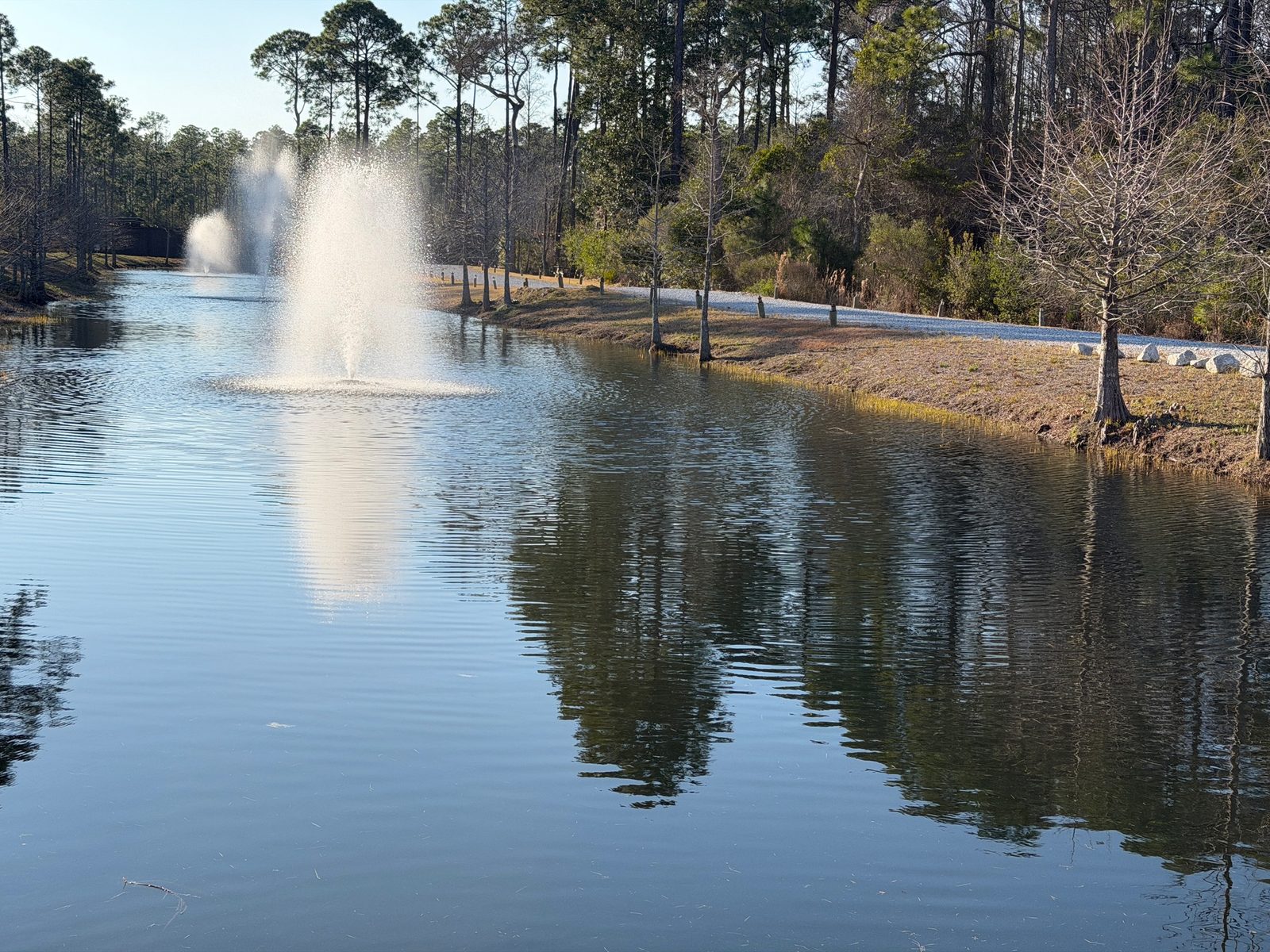 Twin fountains on the Point Preserve pond with longleaf pines reflected in the still water